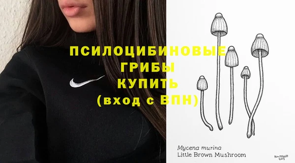 марки nbome Новокубанск