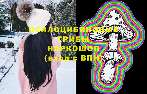 крисы Пыталово