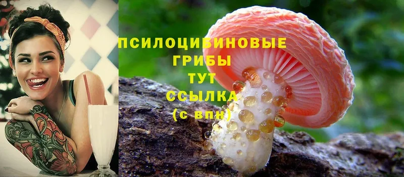 Галлюциногенные грибы MAGIC MUSHROOMS  как найти наркотики  Урюпинск 