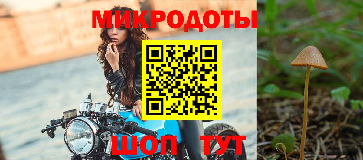 Псилоцибиновые грибы MAGIC MUSHROOMS  купить наркотик  Урюпинск 