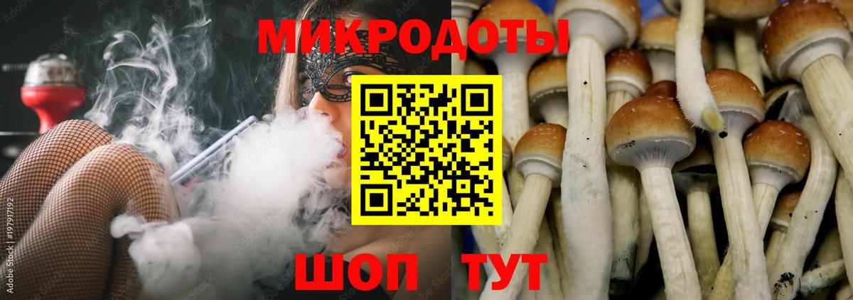 Урюпинск  Псилоцибиновые грибы прущие грибы  Вход с VPN 